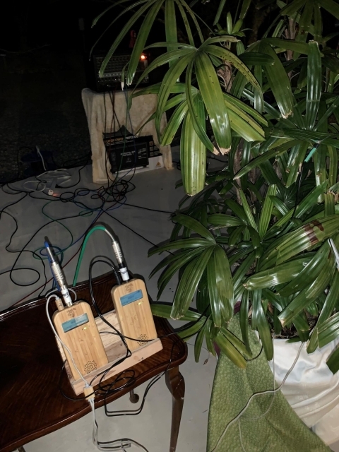 植物音楽ユニット 癒しの音楽の原点 音の瞑想 に出会った かわいいなさんの空中散歩 まいぷれ 川西 猪名川 植物音楽ユニット 癒しの音楽の原点 音の瞑想 に出会った かわいいなさんの空中散歩 まいぷれ 川西 猪名川