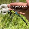「ビオトープ生きもの観察会」
