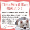 簡単なことから始めよう！「犬の歯磨きの第一歩！」