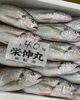 「ホームページはこちら🔗iwafunegyokou.com」