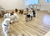 みんな走るよ💨「ましゅまろ幼稚園🐾」