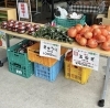 新鮮野菜　るシオールさん「6月　まいぷれミニマルシェ　ありがとうございました♪」