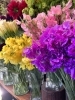「春のお花が入りはじめました🌸」