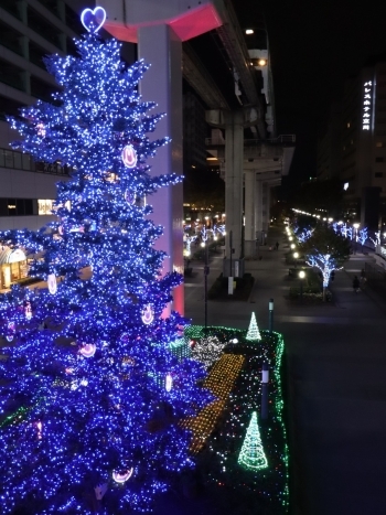 立川の冬を彩る たちかわ燦々イルミネーション点灯式 たちかわ散歩 まいぷれ 立川市