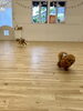 楽しく追いかけっこ中〜「ましゅまろ幼稚園🐾」