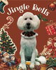 「Dog salon mofu mofu　余市町」