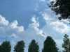 もくもくと積乱雲の完成です。まもなく雨が降ります。「夏の空には欠かせない、迫力のある「積乱雲（せきらんうん）」」