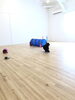 「ドッグトレーナーによる「しつけ教室」^ - ^」