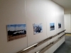 ちょっとした展示会ですね「悩んだ末･･」