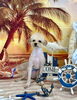 むぎくん「サンセットビーチ🏖️」
