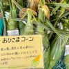 「木曽産とうもろこしを食べよう！」