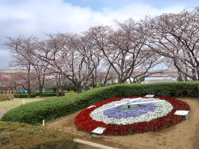 堀切 小菅周辺の人気お花見スポット19 桜名所 葛飾区内の人気お花見スポット19 桜名所 まいぷれ 葛飾区