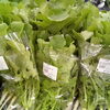 「採れたての新居浜産がずらり！新鮮な旬野菜と選ぶ楽しさあふれる青果コーナーへ遊びに来ませんか？」