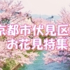 お花見するならここ！ 京都市伏見区の桜特集 2026