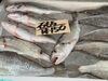 「岩牡蠣販売中‼️」