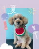 「Dog salon mofu mofu　余市町」