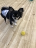 いずるくん「新入園児ちゃん　^o^」