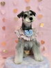 朔ちゃん「ピンクバレンタイン💕」