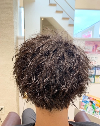 伊賀市美容室セラヴィメンズスタイルメンズパーマツイストスパイラルパーマ C Est La Vie セラヴィ のニュース まいぷれ 伊賀 名張 伊賀市美容室セラヴィメンズスタイルメンズパーマツイストスパイラルパーマ C Est La Vie セラヴィ のニュース まいぷれ 伊賀 名張