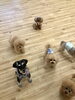 わくわく♡「ましゅまろ幼稚園　^o^ Ⅲ」
