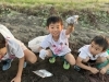「「だけ」じゃない活動。」