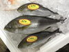「魚魚市場鮮魚コーナーおすすめは「伊勢エビ」です♪」