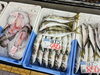 「兵庫県産ボイルほたるいか＆京都府産真アジ入荷しました！」