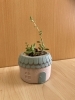「５月３０日（土）おはようございます　買取のべおか　Fleur de Forêt 」