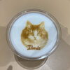 Cat Cafe MOFF コクーンシティさいたま新都心店 ネコカフェ　猫カフェ