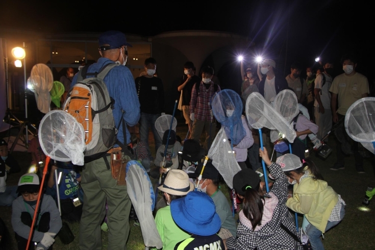 「夜のいきもの観察会【川口市のイベント情報】」