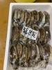 「鮮魚パックいろいろ販売中‼️〆鯖も販売致します🐳」