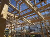 千石の平屋 建方工事「千石の平屋 現場日記～2026.7～」