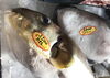 「魚魚市場鮮魚コーナーおすすめは「イトヒキダイ」です♪」