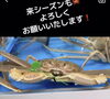 「活蟹🦀完売となりました🙇」
