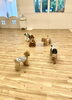 みんなでじゃれっこ中〜🐶「ましゅまろ幼稚園🐾」