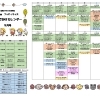 フッピィキッズおでかけカレンダー9月号
