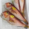 「魚魚市場鮮魚コーナー「岩カキ・ワタリガニ」です♪」