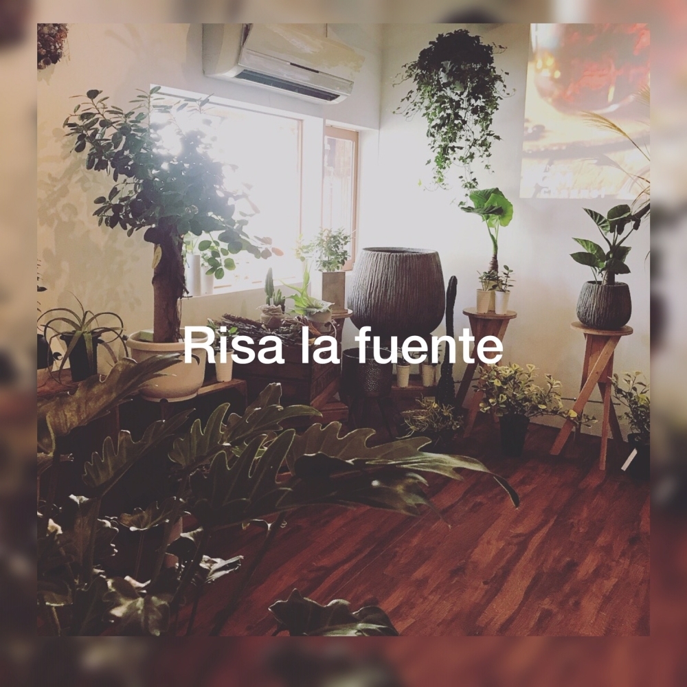 9月open 六ツ門にハイセンスな花屋さん発見 久留米新店オープン情報 まいぷれ 久留米市