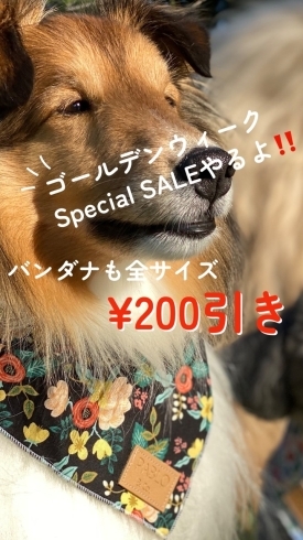 バンダナ　200円OFF「GW特別企画開催！愛犬と一緒に買い物できます♪」