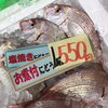「魚魚市場鮮魚コーナーおすすめは「養殖ヒラス・水イカ」です♪」