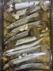 「秋のご宴会におすすめ！季節の魚料理「秋刀魚のコンフィ」登場」