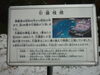 展望広場「今朝の展望広場の様子で～す！」