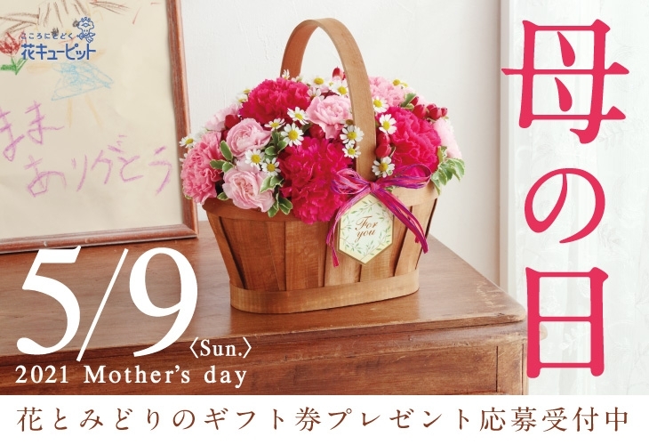 母の日おすすめフラワーギフト クイズに答えて応募しよう 花キューピットでお花じかん まいぷれ 黒部 入善 朝日 母の日おすすめフラワーギフト クイズに答えて応募しよう 花キューピットでお花じかん まいぷれ 黒部 入善 朝日