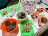 「魚魚市場鮮魚コーナーおすすめは「金目鯛・カンパチ」です♪」