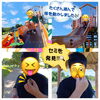 「みさと公園へ行って来ました🍉🦗🔍」