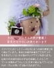 「全国的に珍しいマタニティアート！　妊娠中の特別な瞬間を、写真に残せます📷」