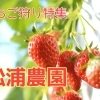 千歳市【松浦農園】※今シーズンは終了致しました。