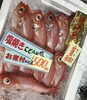 「魚魚市場鮮魚コーナーおすすめは「ゴマサバ・キンメダイ」です♪」