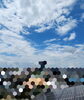 今日の屋根上からの青空「盆休み満喫&仕事開始」