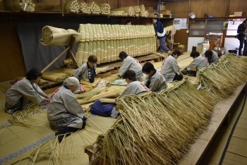 成田山新勝寺迎春準備  【大しめ縄づくり】